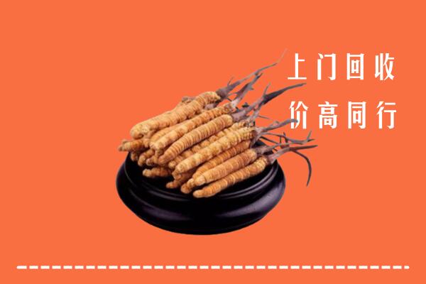 高价求购：巴音郭楞州和硕县回收散虫草