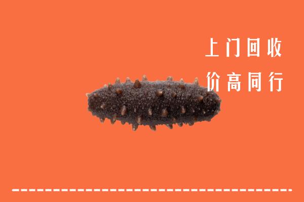 巴音郭楞州和硕县回收海参