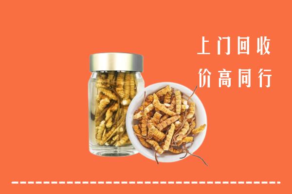 巴音郭楞州和硕县回收冬虫夏草